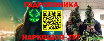 прущие крисы Усть-Илимск