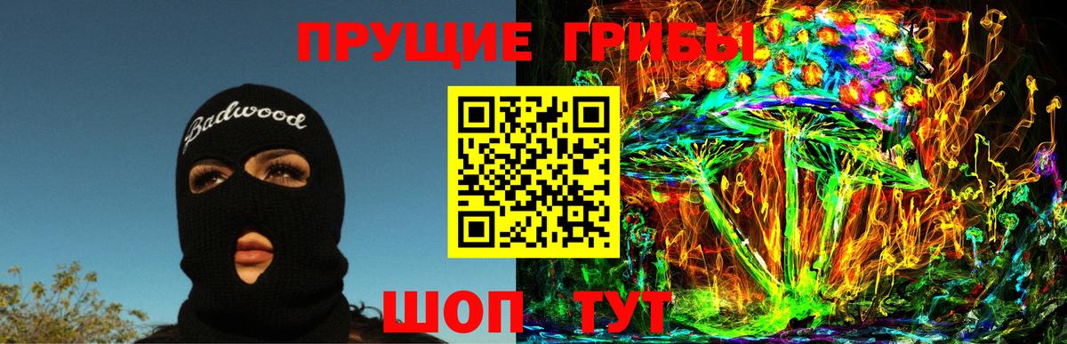 Псилоцибиновые грибы Cubensis Богородицк