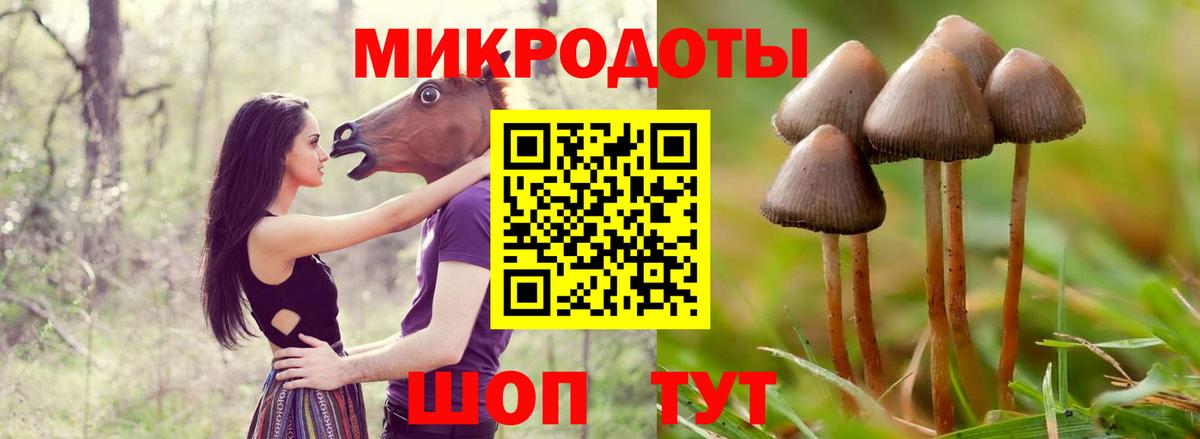 Богородицк  Галлюциногенные грибы Psilocybine cubensis  Вход с VPN 